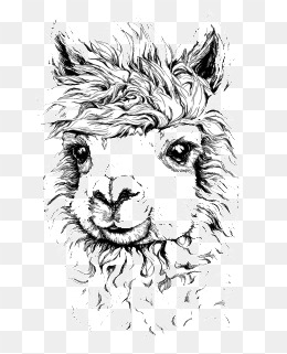 260x321 Alpaca Illustrator Png, Vectors, Psd, And Icons For Free Download