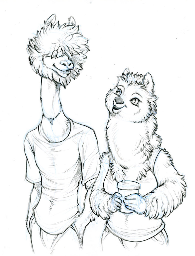 781x1022 Alpacas! By Hibbary