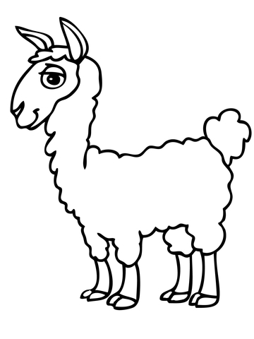 360x480 Cute Alpaca Coloring Page Free Printable Coloring Pages