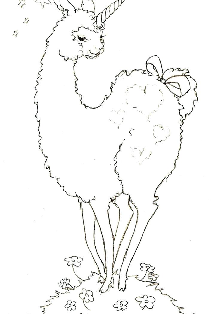 736x1050 Ideal Llama Coloring Pages Online Outline Page And Alpaca