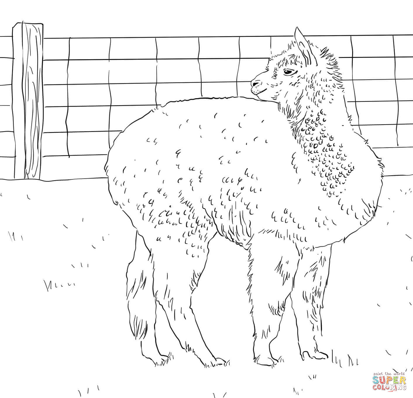1412x1362 Alpaca Looks Back Coloring Page Free Printable Coloring Pages