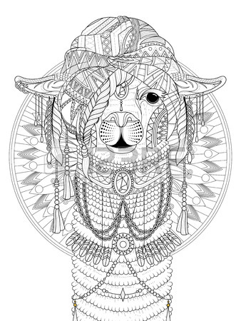 338x450 Alpaca Stock Photos. Royalty Free Business Images