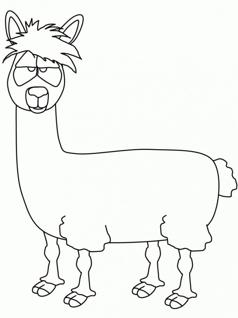 800x1067 Alpaca Coloring Pages 2 Nice Coloring Pages For Kids