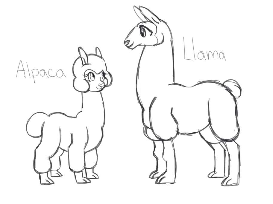 912x684 Alpaca V Llama By Sinjaaussiaangels
