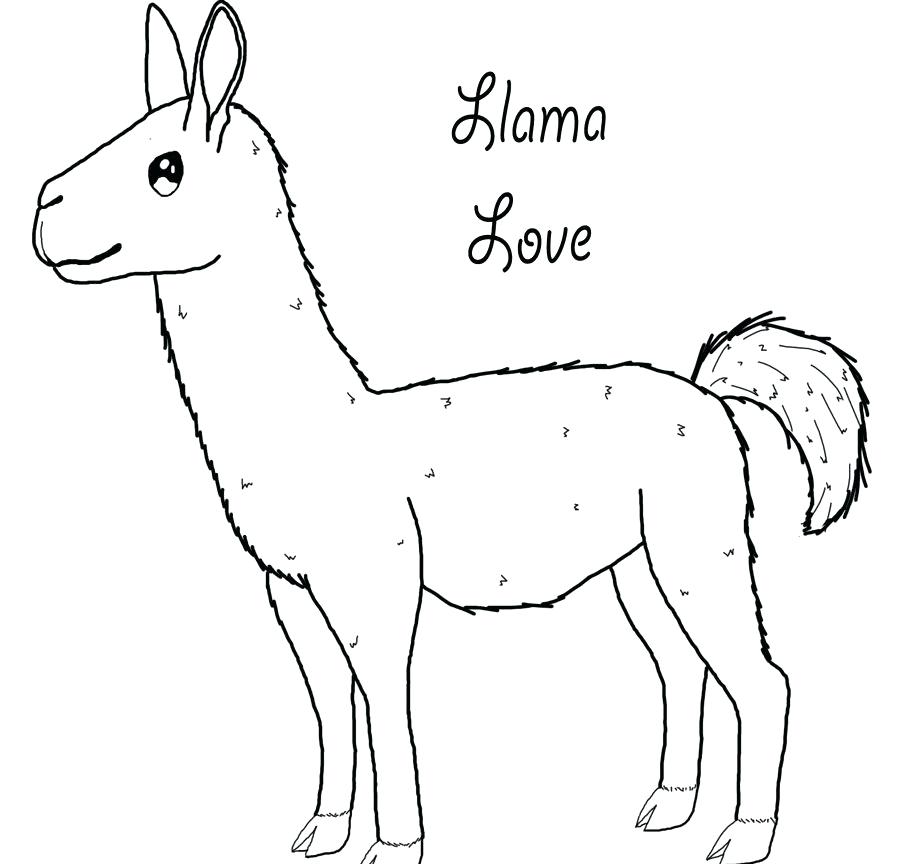 900x864 Amazing Llama Coloring Pages Kids Free Print Animal And Alpaca