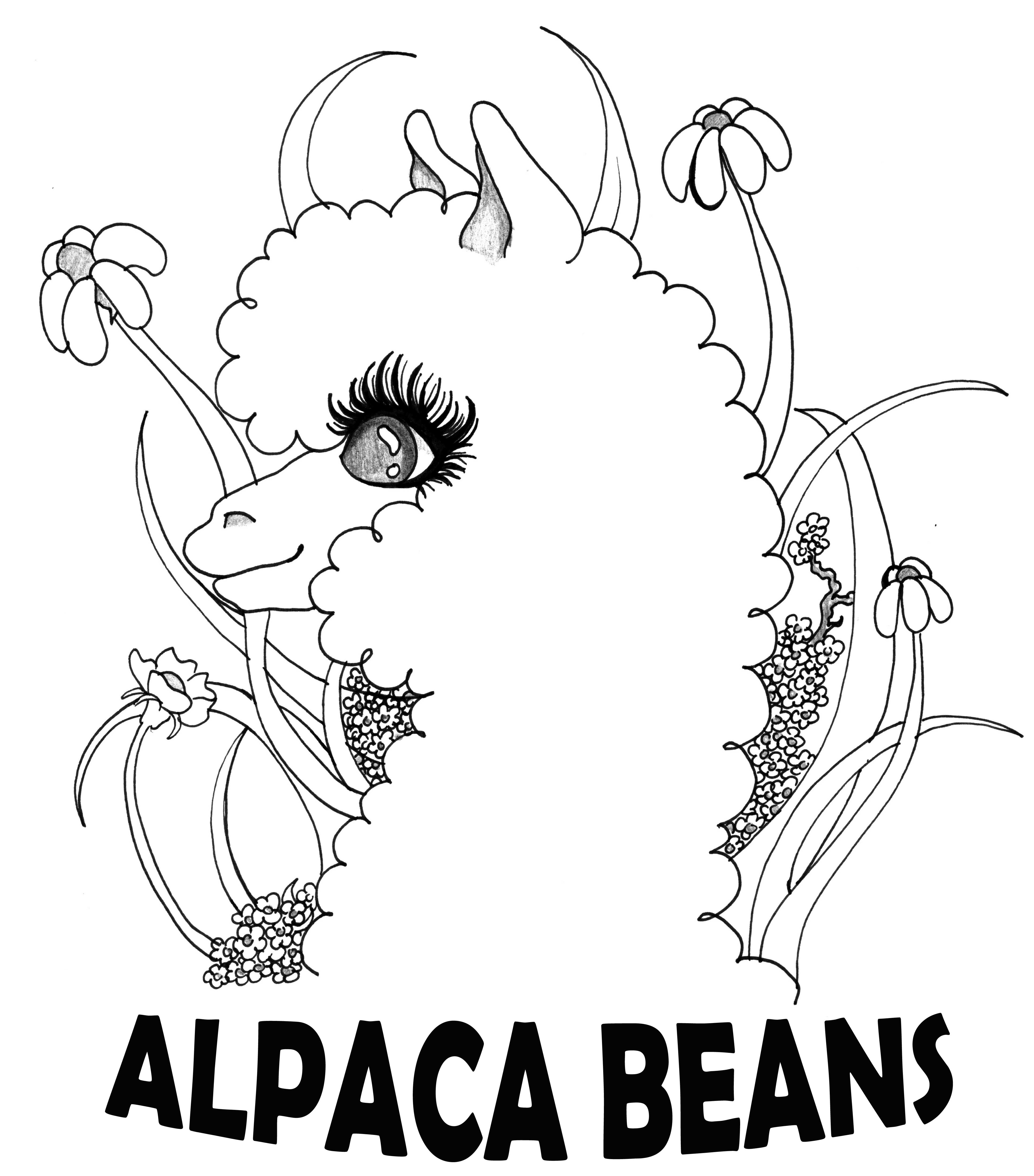 4409x5012 What It All Means To Kids Oak Hills Alpacas