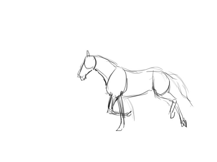 736x552 392 Best Oo Images On Drawing Reference, Animation