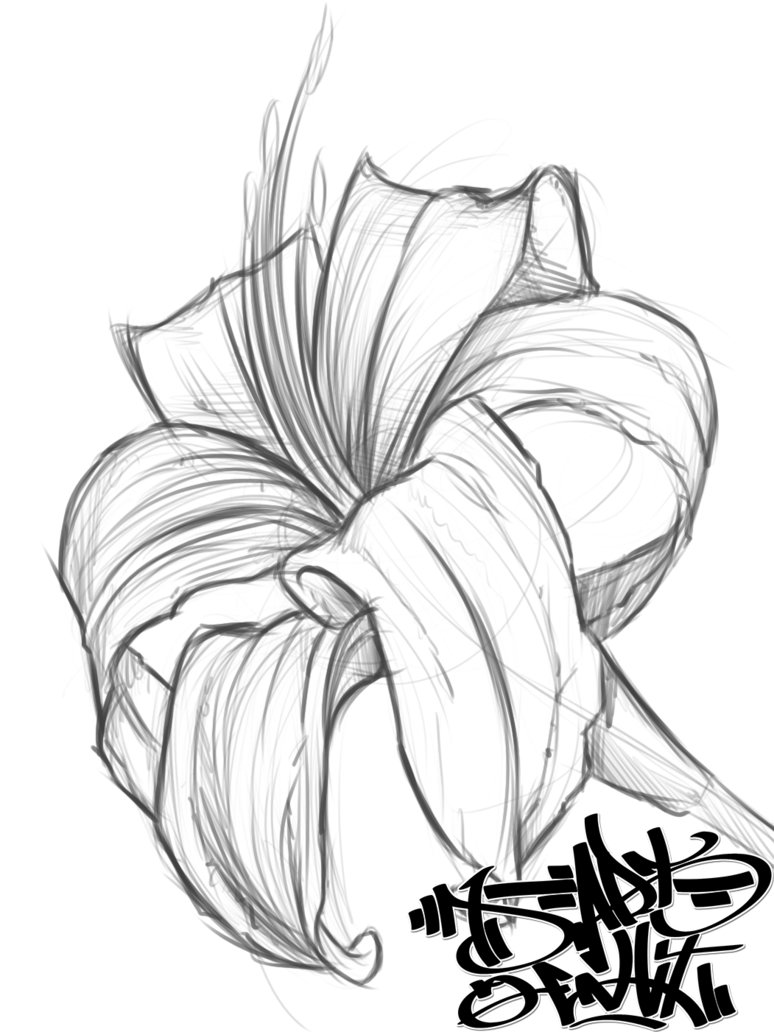 774x1032 Amaryllis Flower 8bit By Digital Art Envy