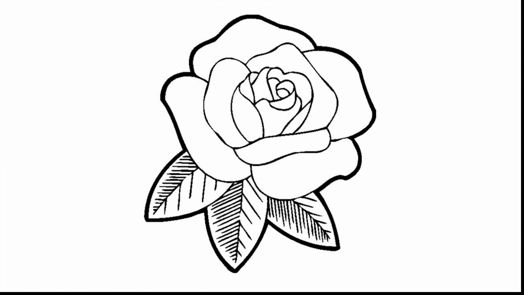 1760x990 Amazing Rose Drawing Coloring Page With Roses Coloring Pages