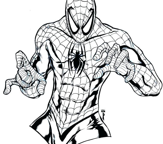 678x600 Coloring Spiderman Top Coloring Pages Printable Amazing Spider Man