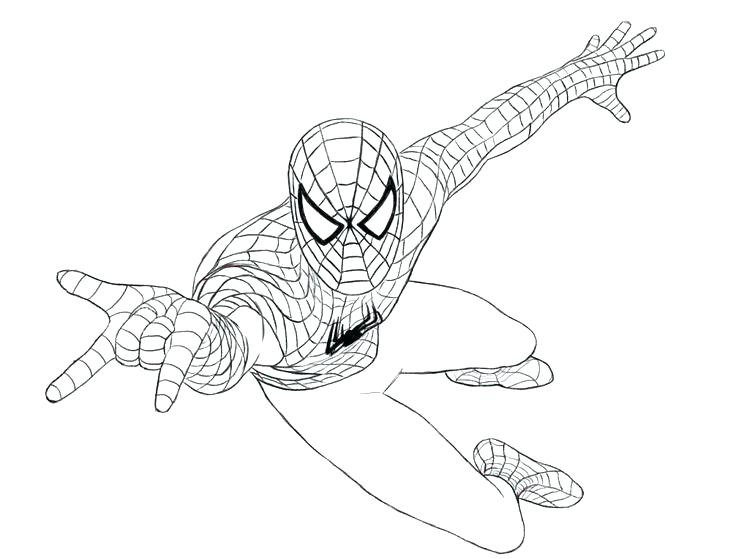 736x559 Amazing Spiderman 2 Coloring Pages