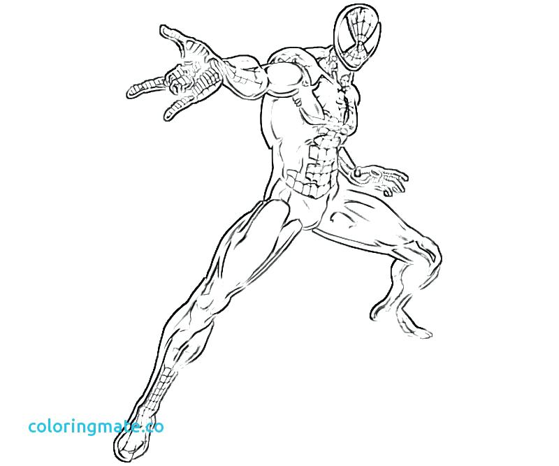 800x667 Trend Amazing Spider Man Coloring Pages Kids Page Beautiful