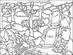236x179 Safari Coloring Pages How To Draw A Rainforest Step 6 Jungle