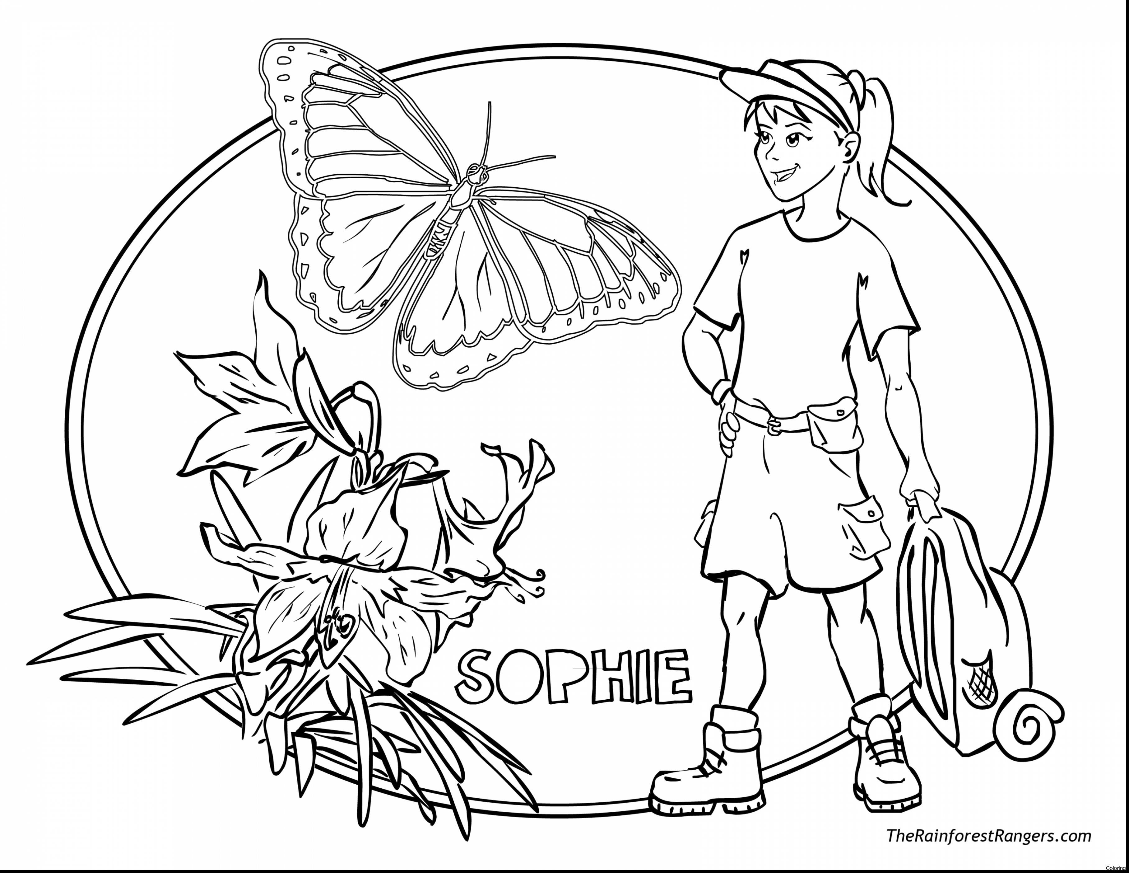 3630x2805 Fantastic Rainforest Animal Coloring Pages Page 22f Printables