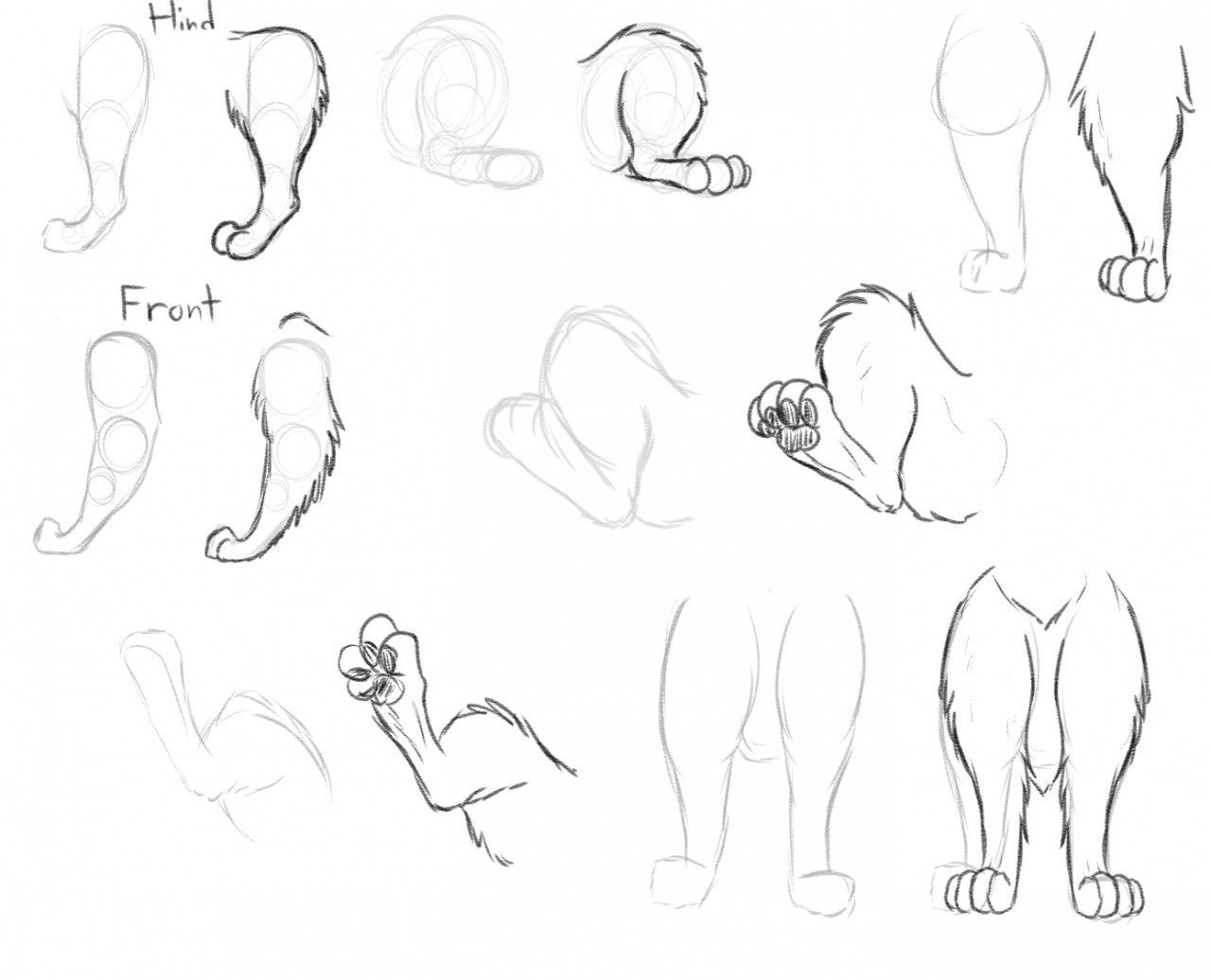 1280x1036 How To Draw Amber