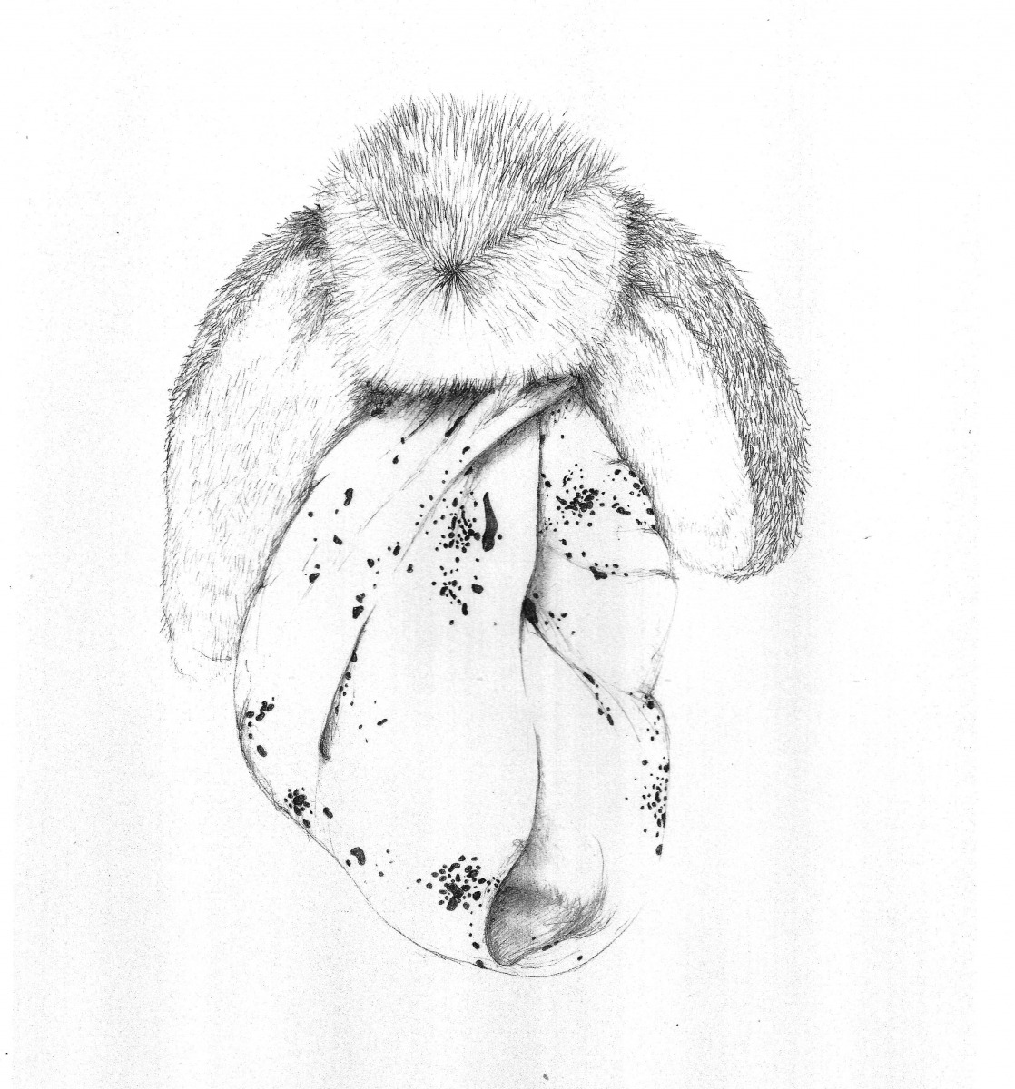 1118x1200 Amber Veel