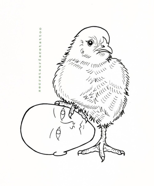 500x603 Secret Surface