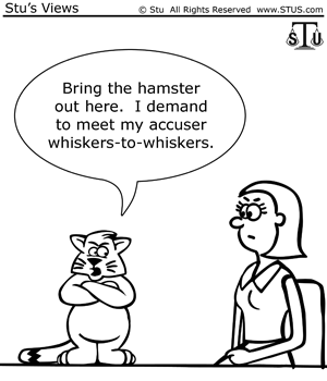 300x350 Judge Punishes Defendant For Invoking Sixth Amendment Rights