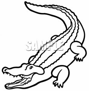 294x300 Crocodile Clipart Line Drawing