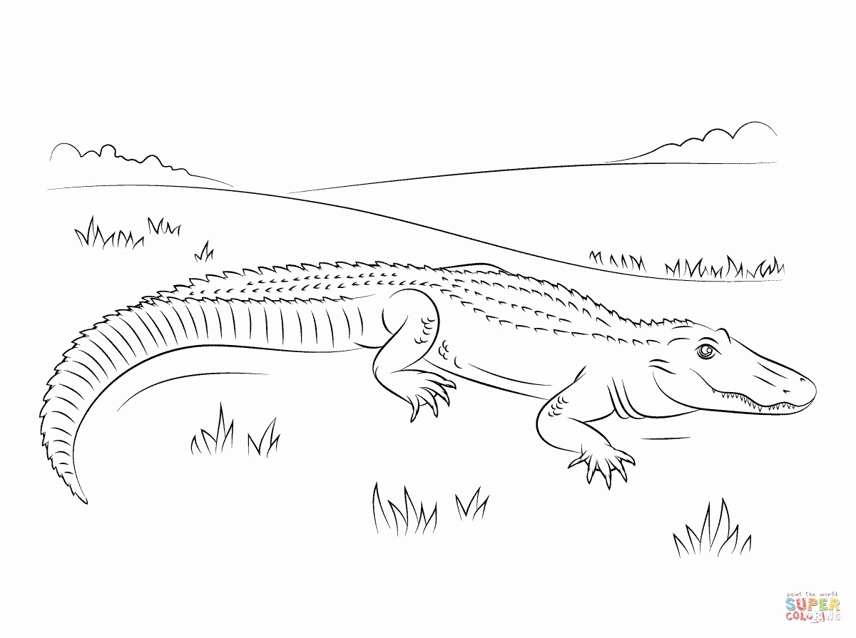 1200x895 45 Lovely Gallery Of Alligator Coloring Pages