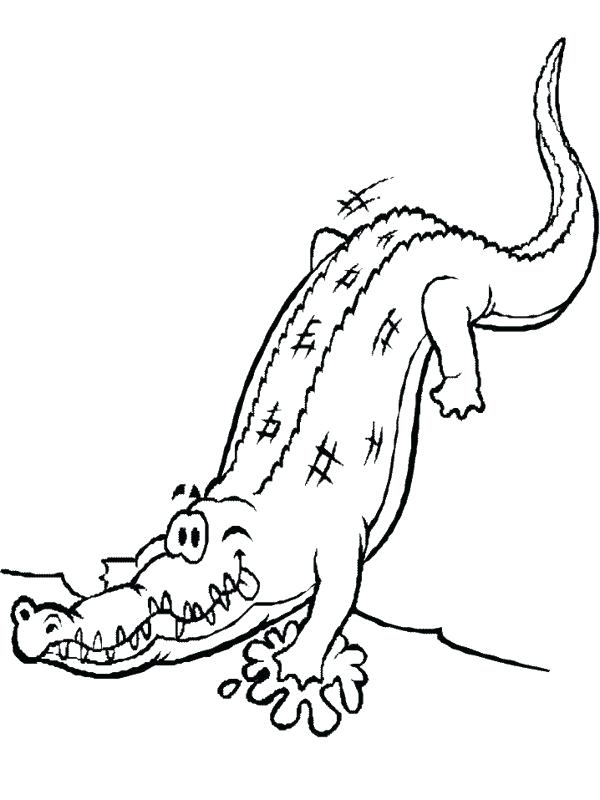 600x800 Cute Alligator Coloring Pages Alligators Page Free Com With Snap