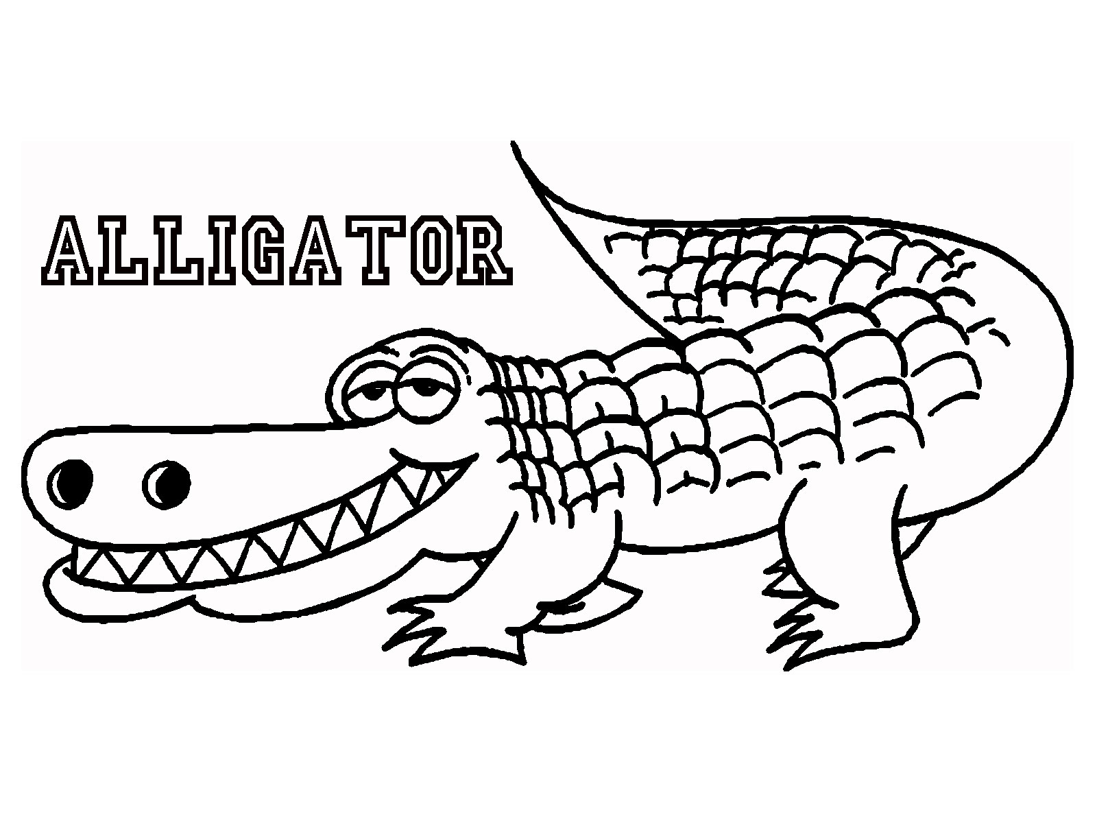 1600x1200 Printable Alligator Coloring Pages