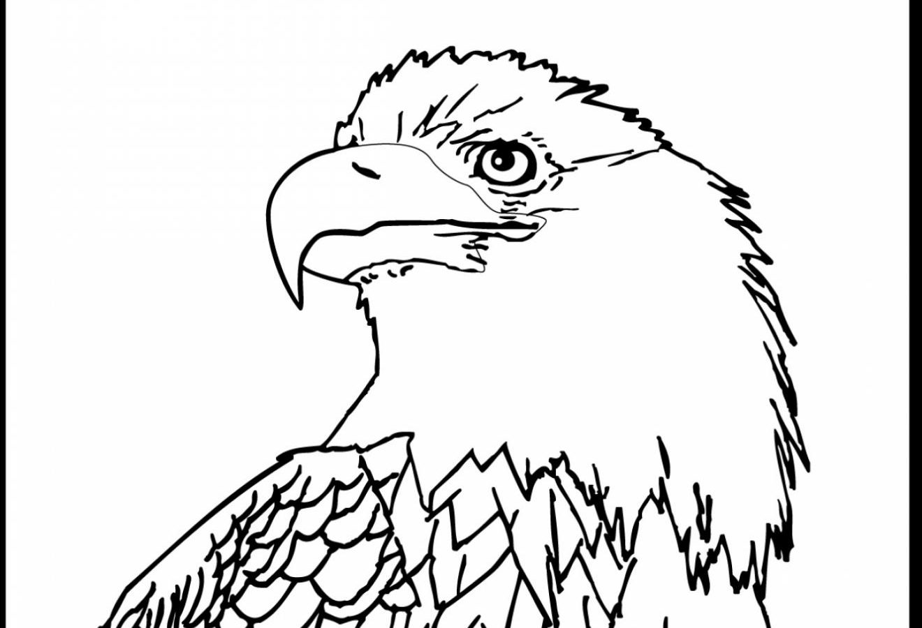 1320x900 American Bald Eagle Coloring Page Free Printable Birds Pages