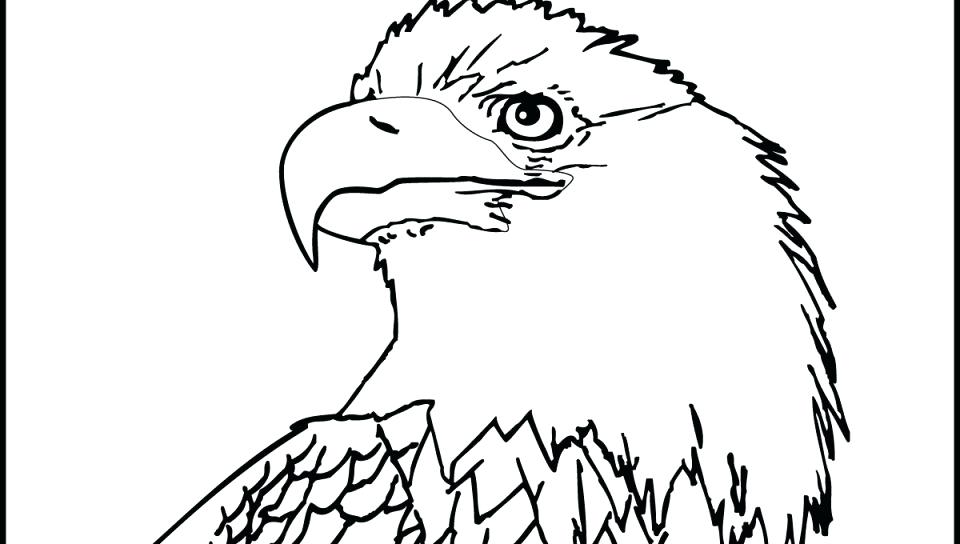 960x544 Bald Eagle Coloring Pages Bald Eagle Coloring Page Free Printable