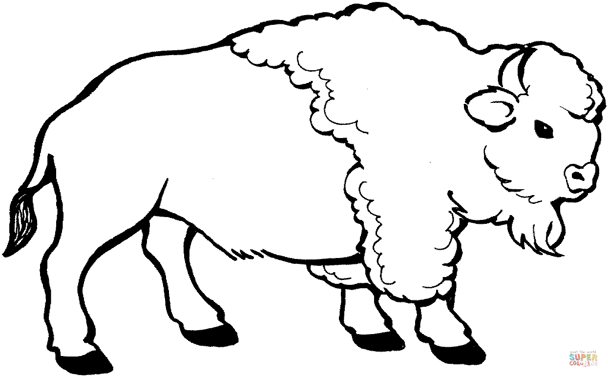 1245x773 Young Bison Coloring Page Free Printable Coloring Pages