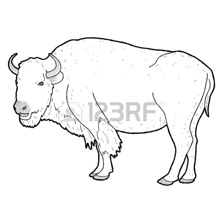 450x450 American Buffalo Animal Cartoon Art Stock Photo, Picture