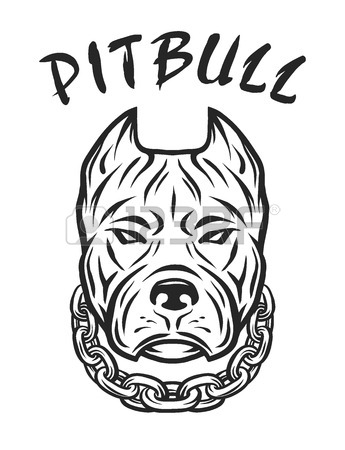American Bulldog Drawing
