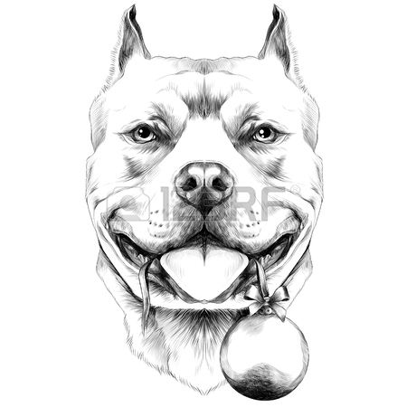 450x450 Dog Breed American Bulldog Head Sketch Vector Graphics Black
