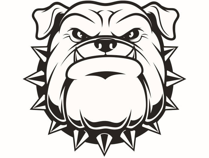 700x530 English Bulldog 5 American Mascot Head Spiked Collar Dog