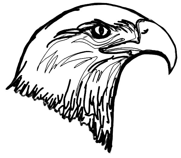 600x524 Bald Eagle Head Coloring Page Coloring Sun