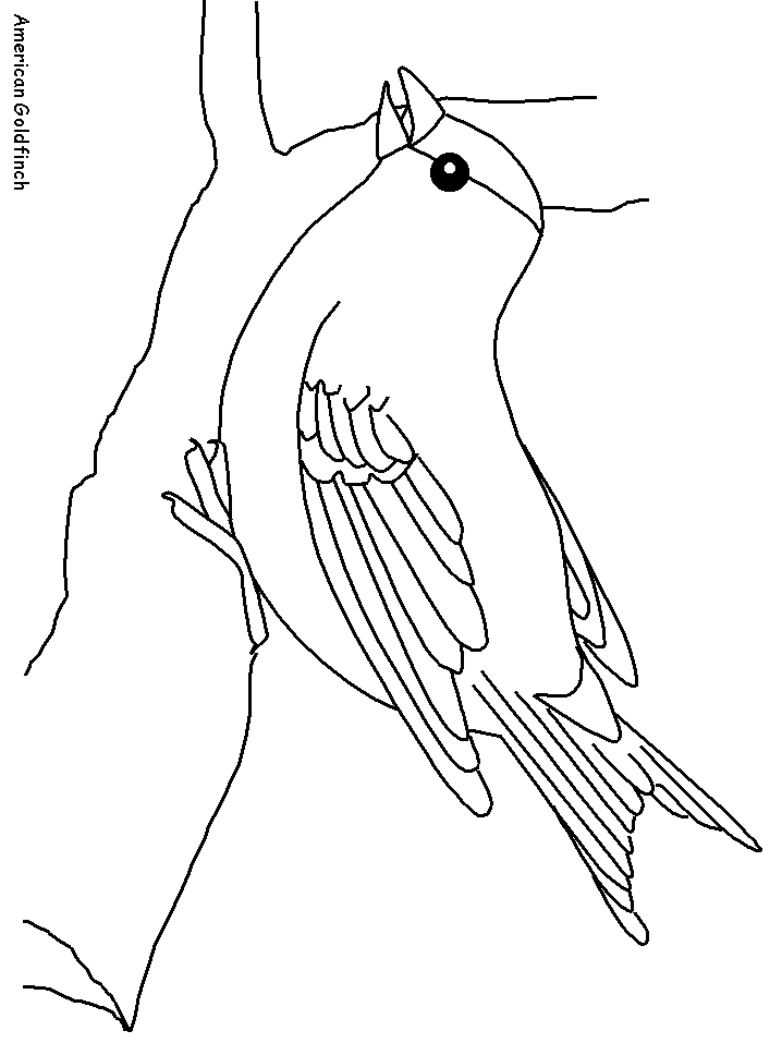 718x957 Template Printables Goldfinch, Template And Crafts