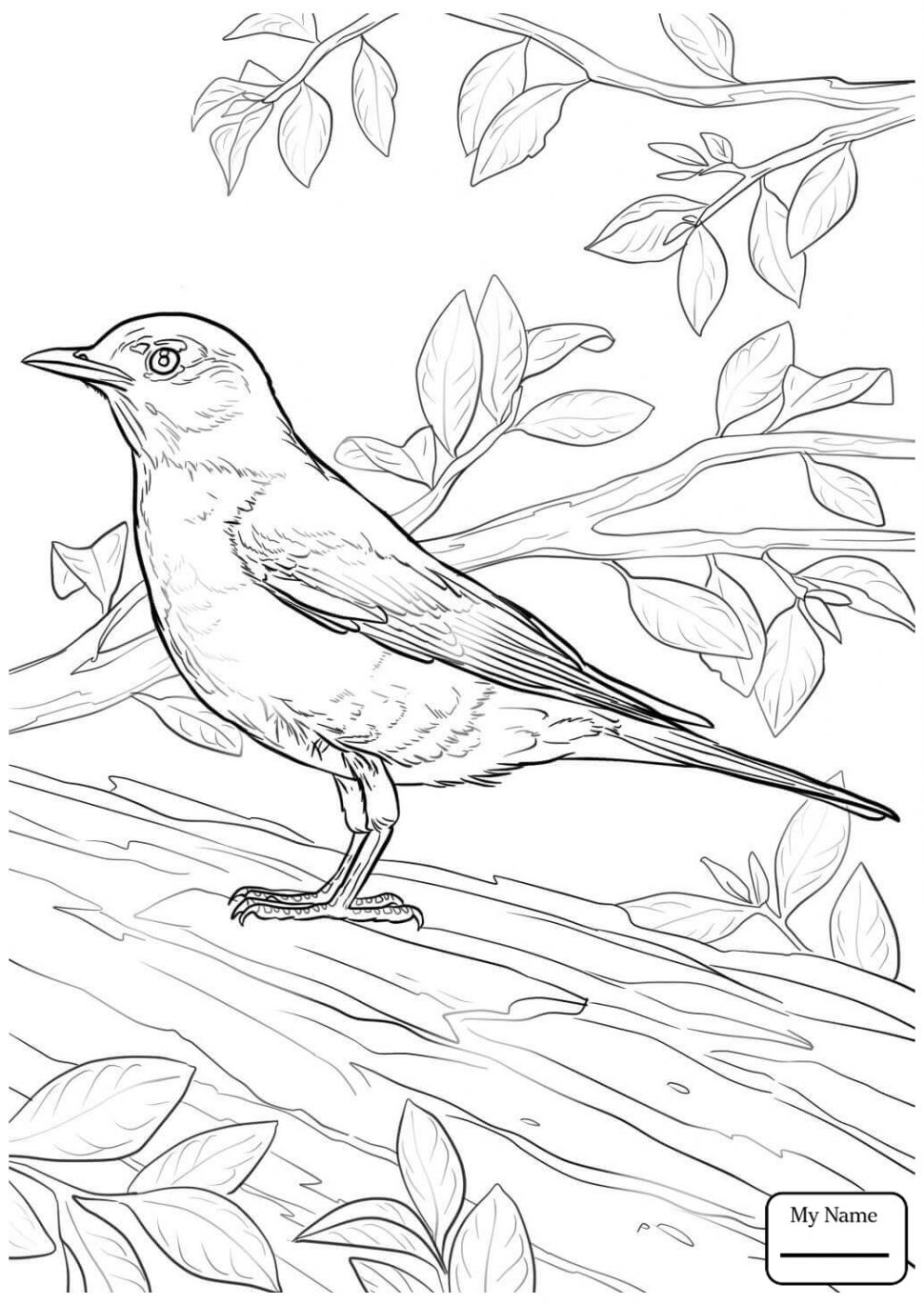 970x1370 Coloring Fantastic State Birds And Flowers Coloring Book Image