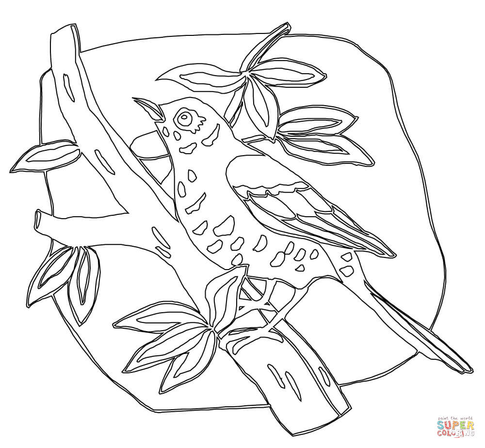 1000x924 American Robin And Wood Thrush Coloring Page Free Printable
