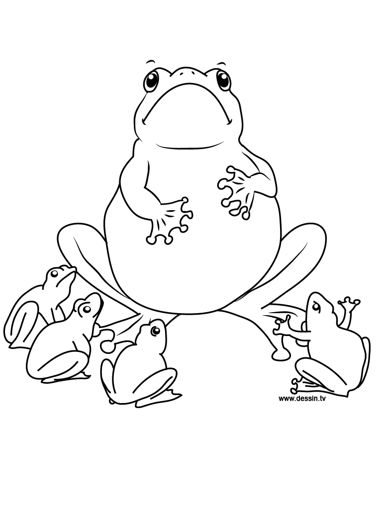 768x1024 Coloring Frog School
