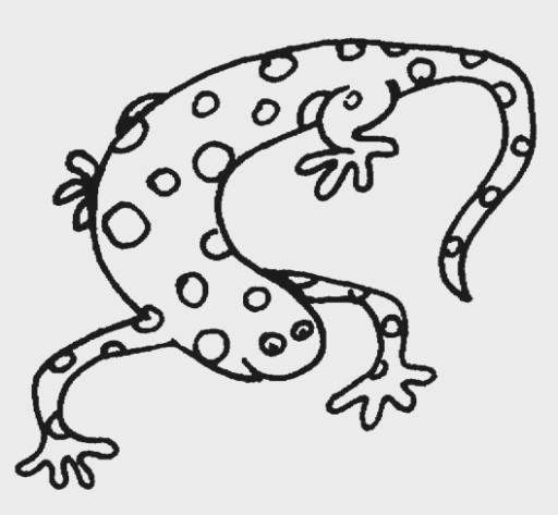 512x473 How To Have A Fantastic Amphibian Examples Kids