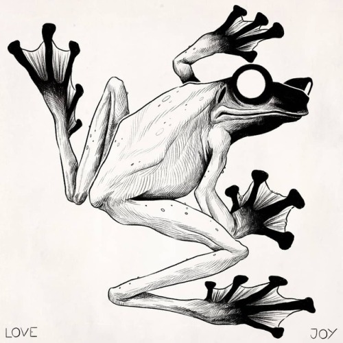 500x500 Amphibian Drawing Tumblr