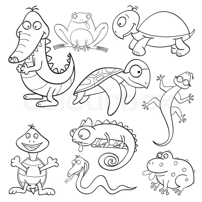 800x800 Coloring Book With Reptiles And Amphibians Stock Vector Colourbox