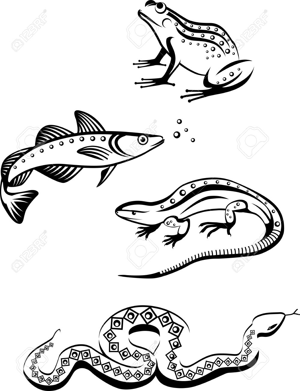 999x1300 Fish, Reptiles And Amphibians In Logo Stylization Royalty Free