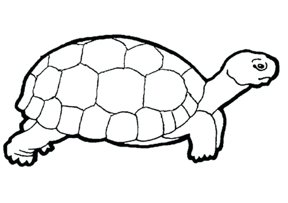 940x664 Reptiles Coloring Pages Free Amphibians And Reptiles Coloring