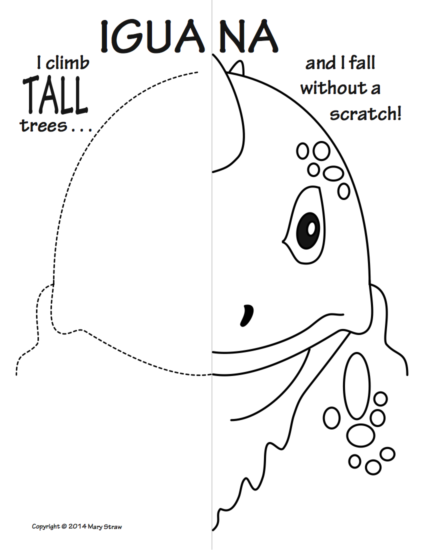 850x1100 Reptiles And Amphibians Symmetry Activity Coloring Pages