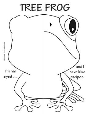 288x373 The 18 Best Images About Symetrie On Jungle Animals