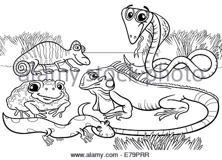 445x320 Reptiles And Amphibians Cartoon Set Stock Photo 103054301