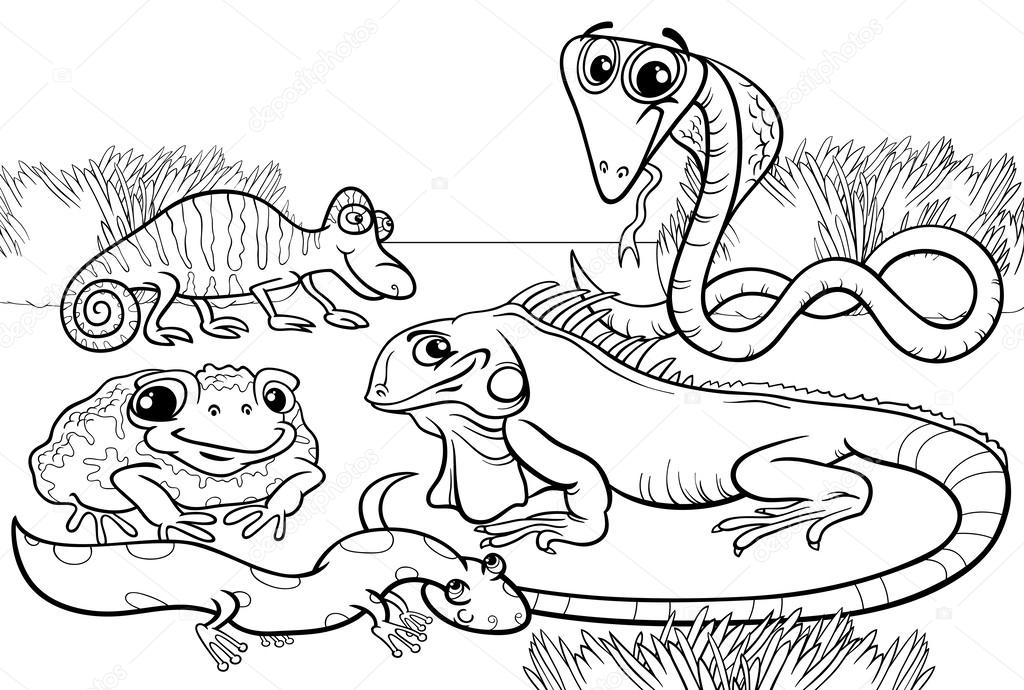 1024x690 Reptiles And Amphibians Coloring Page Stock Vector Izakowski