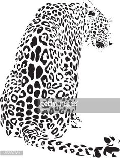 236x311 Leopard Illustration In Black Lines High Detailed Leopards