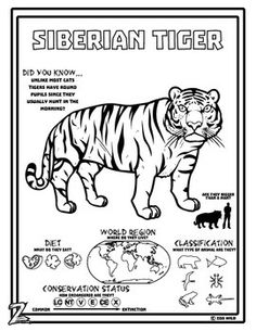 236x305 Today We'Re A Sharing Facts On The Beautiful Amur Leopard