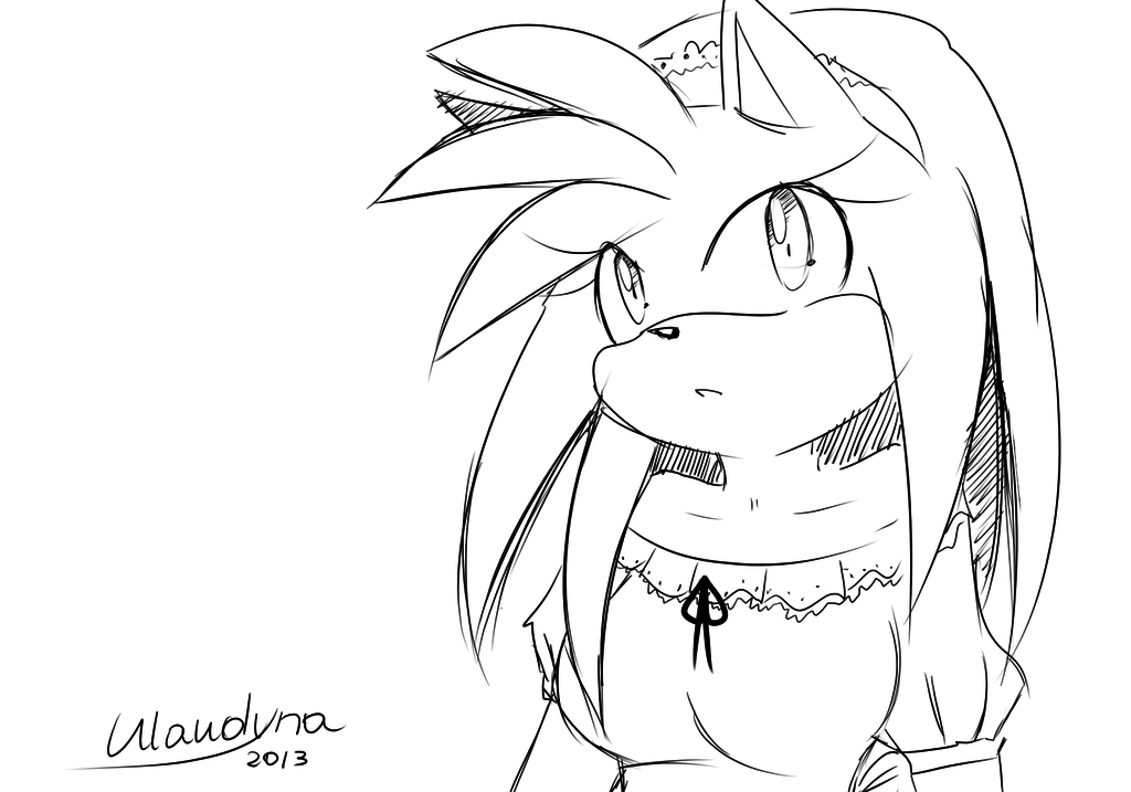 1024x717 Amy Rose By Klaudy Na